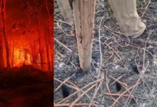 Untitled design 2026 09 07T193536.570 Indonesia Peatland Fires