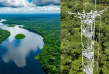 Untitled design 2026 09 07T194408.416 Congo Basin climate projects