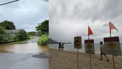 Untitled design 2026 09 08T191629.688 Hawaii Hurricane Lowell