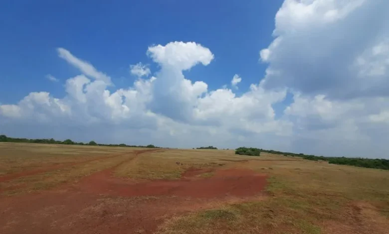 Yala National Park closure