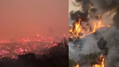 Untitled design 2026 09 09T202459.597 indonesian wildfire emissions