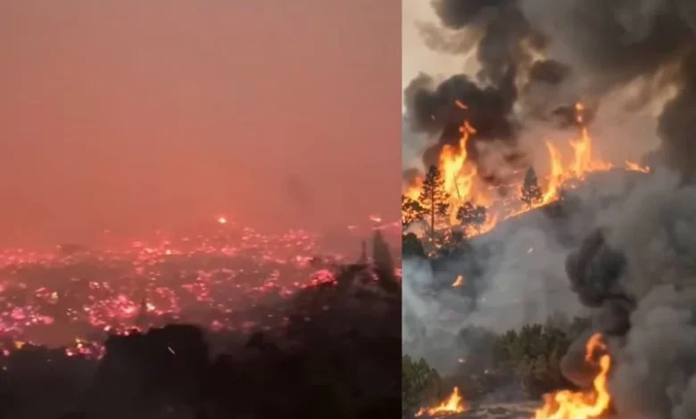 Untitled design 2026 09 09T202459.597 indonesian wildfire emissions