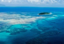 Untitled design 2026 09 13T191114.349 Gulf Coral Reefs Facing Fertilizer Threat