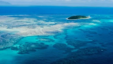 Untitled design 2026 09 13T191114.349 Gulf Coral Reefs Facing Fertilizer Threat