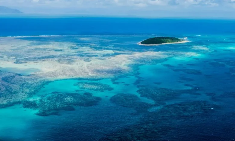 Gulf Coral Reefs Facing Fertilizer Threat