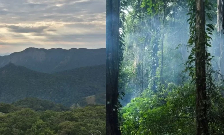 Mount Mabu conservation area