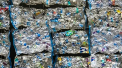 Untitled design 2026 09 14T184651.502 1 plastic waste fertilizer
