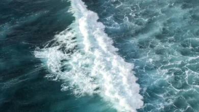 Untitled design 2026 09 14T185405.936 Indian Ocean climate link