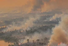 Untitled design 2026 09 16T204624.408 indonesia wildfire haze