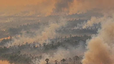 Untitled design 2026 09 16T204624.408 indonesia wildfire haze