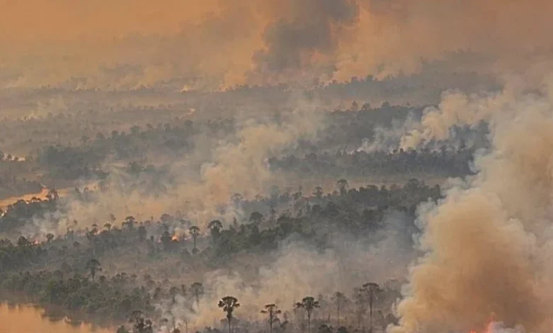 Untitled design 2026 09 16T204624.408 indonesia wildfire haze
