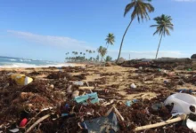 Untitled design 2026 09 16T211346.535 Vietnam plastic pollution