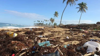 Untitled design 2026 09 16T211346.535 Vietnam plastic pollution