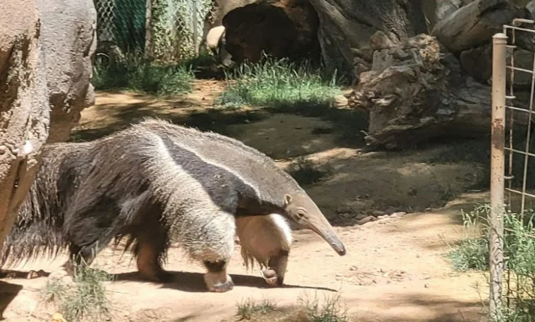 Natural Habitat Restoration