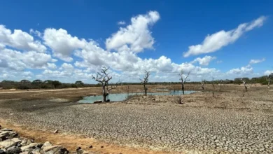 Untitled design 2026 09 18T201027.425 Sri Lanka drought
