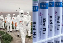 Untitled design 2026 09 21T220752.338 H5N1 bird flu in Australia