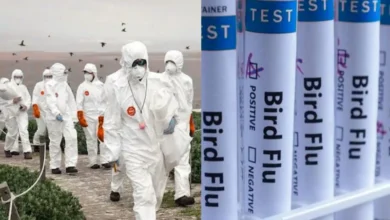Untitled design 2026 09 21T220752.338 H5N1 bird flu in Australia