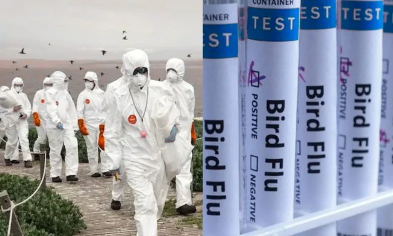 Untitled design 2026 09 21T220752.338 H5N1 bird flu in Australia