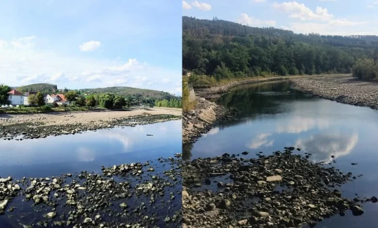 Czech mussel rescue efforts