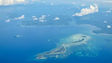Untitled design 2026 09 29T214736.835 Singapore coral reefs at risk