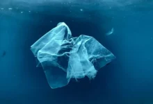 Untitled design 2026 09 30T204356.303 ocean plastic pollution