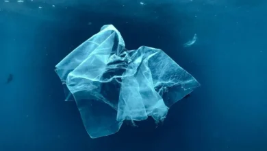 Untitled design 2026 09 30T204356.303 ocean plastic pollution