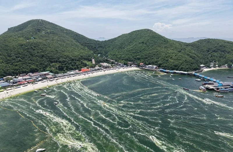 Plankton Bloom Turns Thai Island Waters Bright Green Raising Tourism and Marine Safety Concerns plankton bloom Thailand