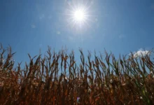 Track the latest climate changes Heat Stress in Europe