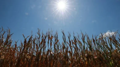 Track the latest climate changes Heat Stress in Europe