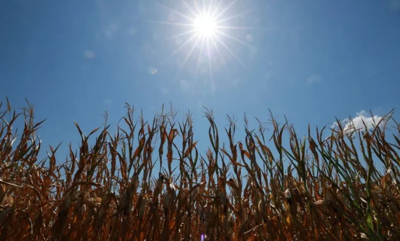 Heat Stress in Europe