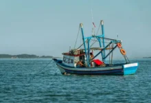 Untitled Design 2026 10 20T192826.891 overfishing fish stocks