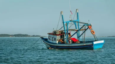 Untitled Design 2026 10 20T192826.891 overfishing fish stocks