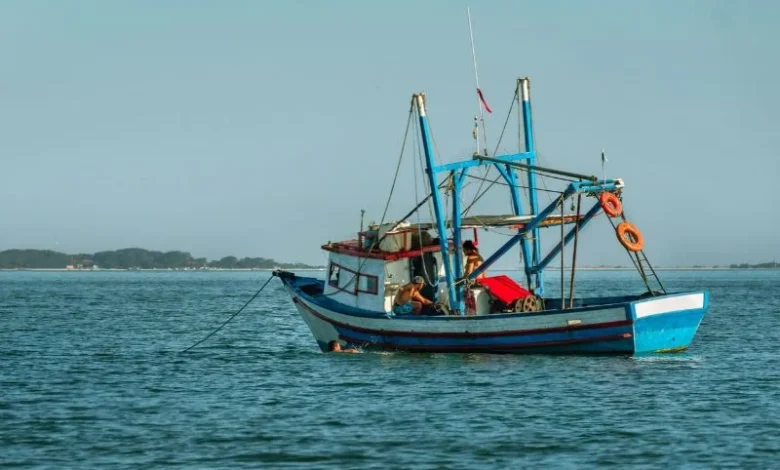 Untitled Design 2026 10 20T192826.891 overfishing fish stocks