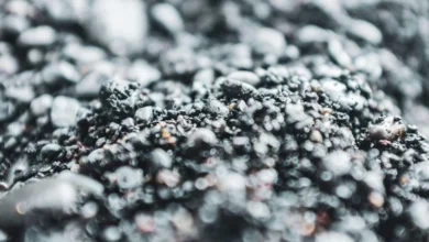 Untitled Design 2026 10 20T195402.177 biochar carbon removal
