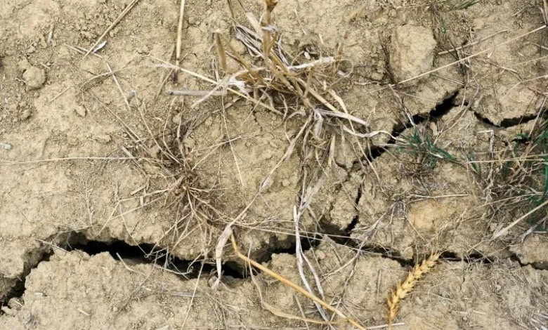 desertification land degradation