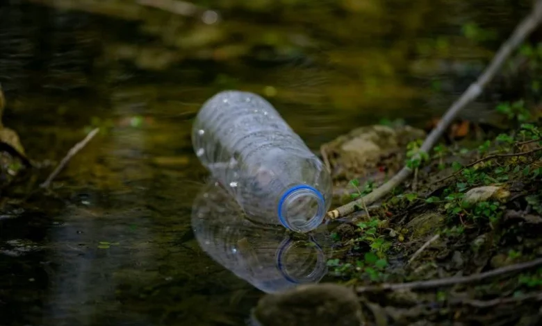 greenwashing in India