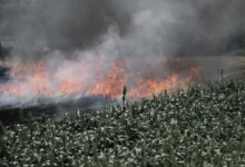 Untitled Design 2026 10 23T165040.961 stubble burning Punjab
