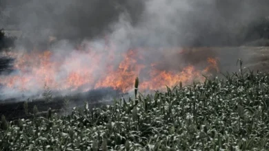 Untitled Design 2026 10 23T165040.961 stubble burning Punjab