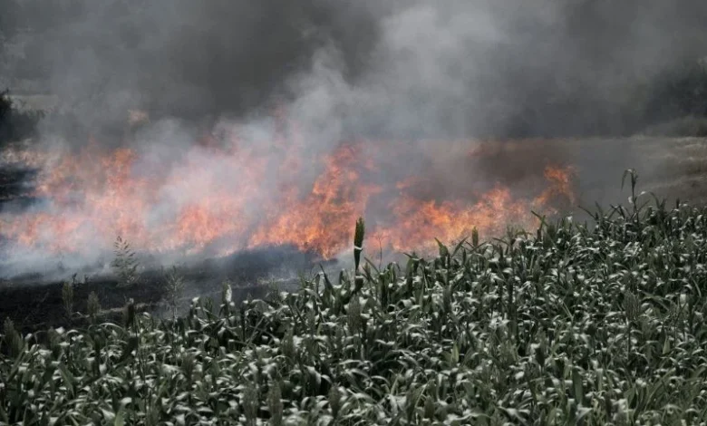 Untitled Design 2026 10 23T165040.961 stubble burning Punjab