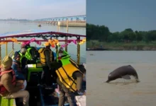 Untitled Design 2026 10 24T164243.601 Ganges river dolphin