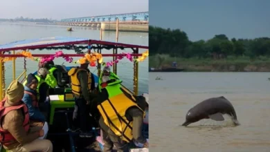 Untitled Design 2026 10 24T164243.601 Ganges river dolphin