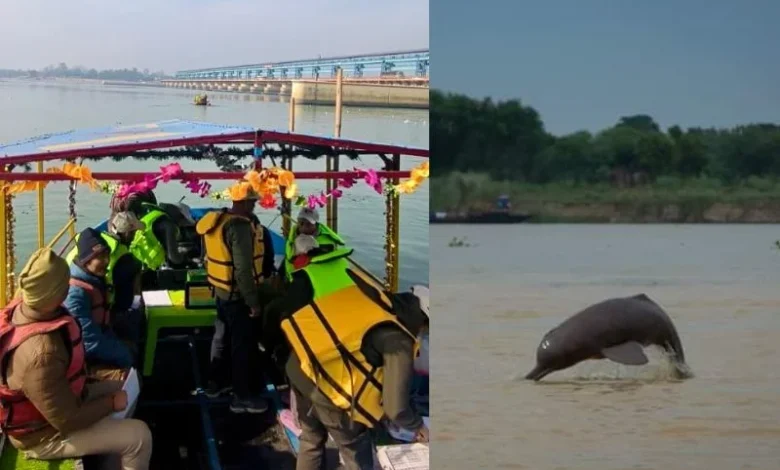 Ganges river dolphin