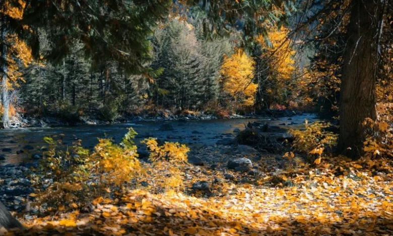 Himalayan springs drying