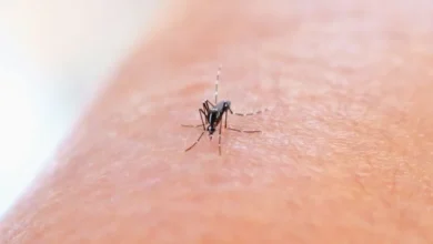 Untitled Design 2026 10 26T185333.256 dengue climate change India