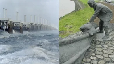 Untitled Design 2026 10 27T132303.650 Dutch Flood Defences