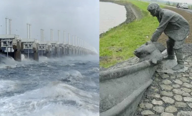 Dutch Flood Defences