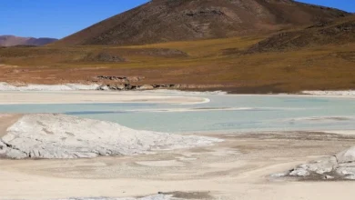 Untitled Design 2026 10 27T180101.329 lithium mining Chile wetlands