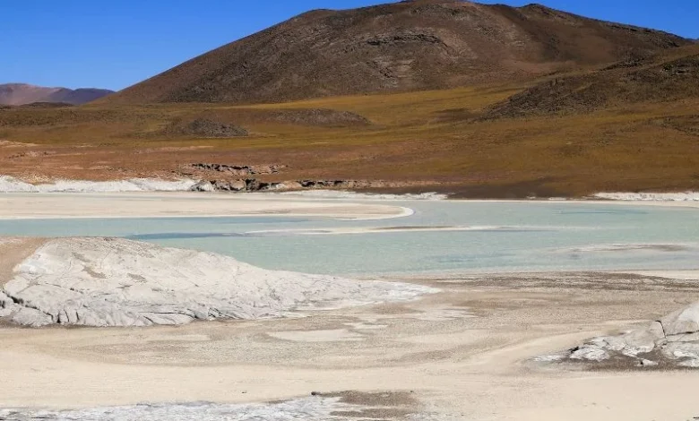 Untitled Design 2026 10 27T180101.329 lithium mining Chile wetlands