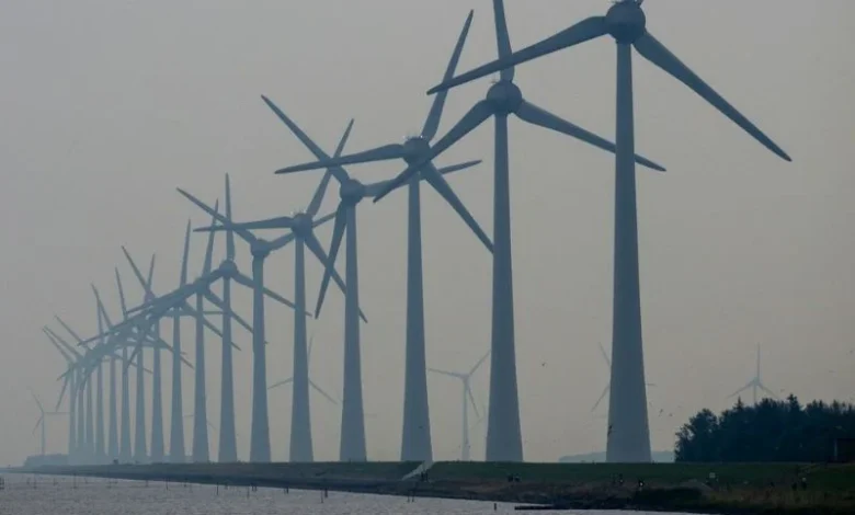 Untitled Design 2026 10 27T181851.151 Australia offshore wind marine wildlife