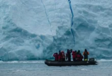 Untitled Design 2026 10 28T142511.910 krill fishing Antarctic